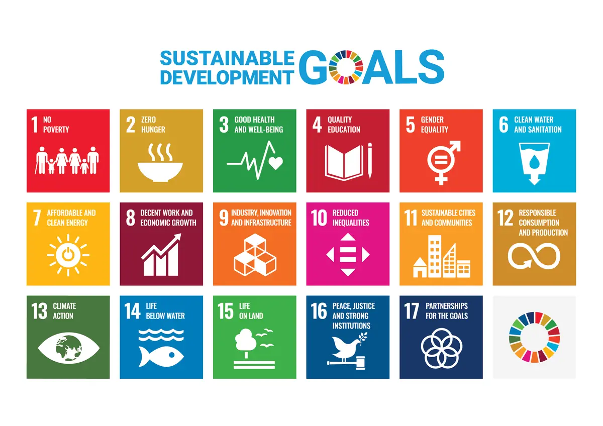 E SDG Poster